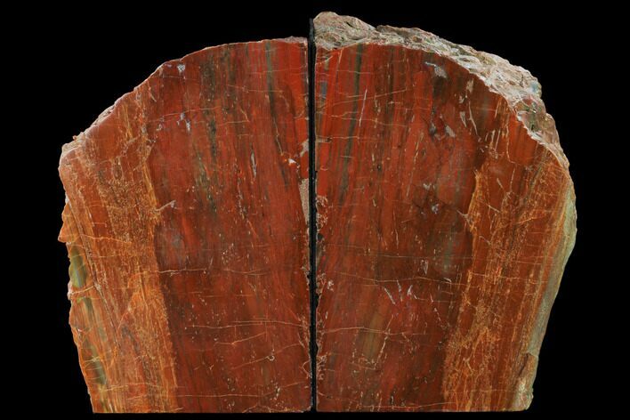 Tall, Arizona Petrified Wood Bookends - Red & Orange #166081